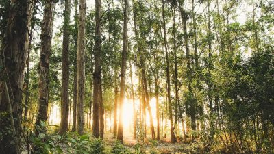 Ünlü dizi oyuncusu, sosyal medyada yarattığı etkileyici paylaşımıyla büyük bir
